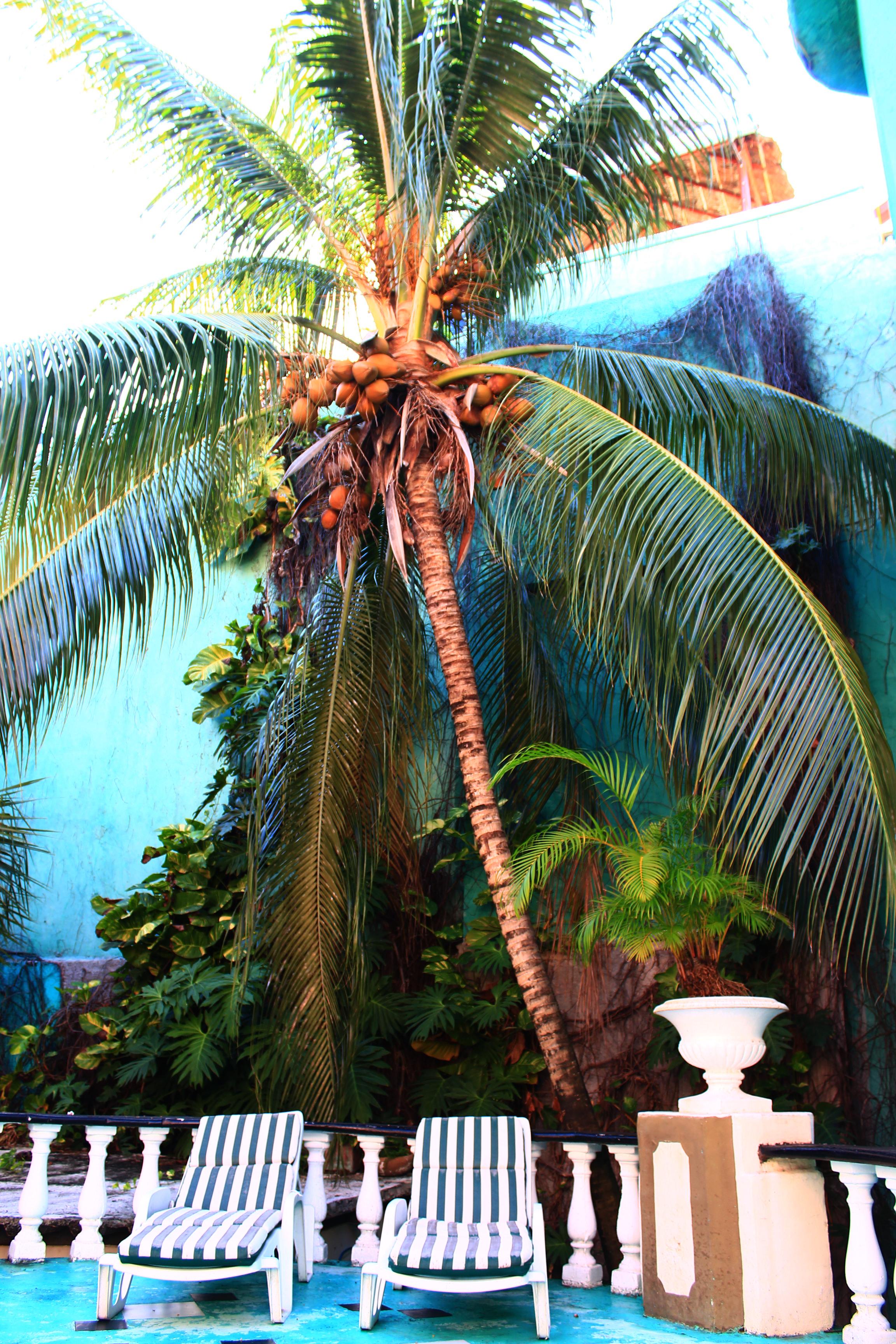 Maya Del Mar On Fifth Avenue Playa del Carmen Exterior foto